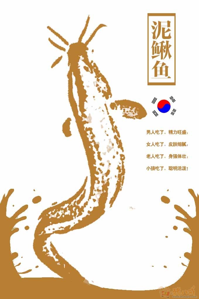 泥鳅鱼宣传海报设计! samansa 投标-猪八戒网
