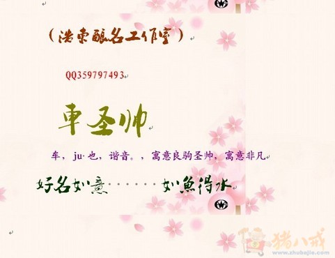 <em>车姓</em>男宝宝<em>取名</em>-宝宝<em>起名</em>-猪八戒网
