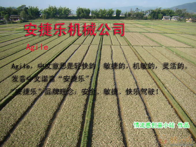 工程机械公司起中英文名字