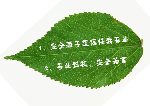 背景 壁纸 绿色 绿叶 树叶 植物 桌面 600_425图片