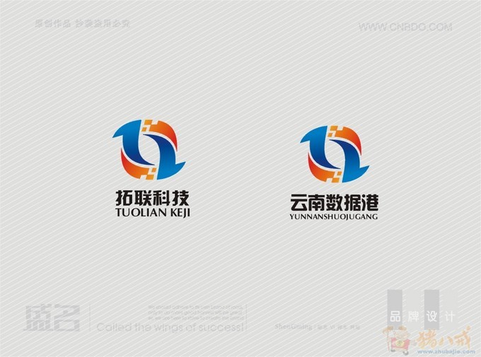 科技公司logo设计 盛名品牌智创坊 投标-猪八戒网