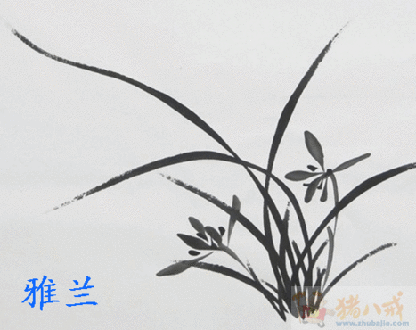 <em>朱姓女宝宝取名</em> - 宝宝起名 - 起名取名 - 猪八戒