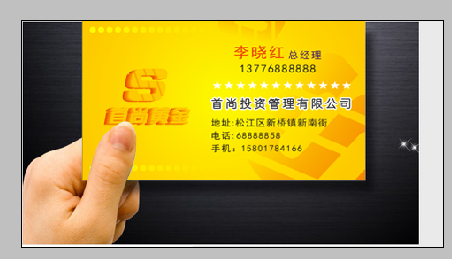 投资公司商标,名片设计 yanbao520 投标-猪八戒网