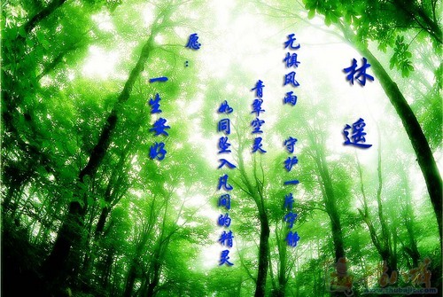 <em>林姓女宝宝取名</em>-宝宝起名-起名取名 -猪八戒网