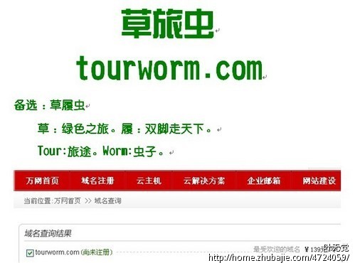 取一个旅游网站中文名字和英文域名 - 公司起名
