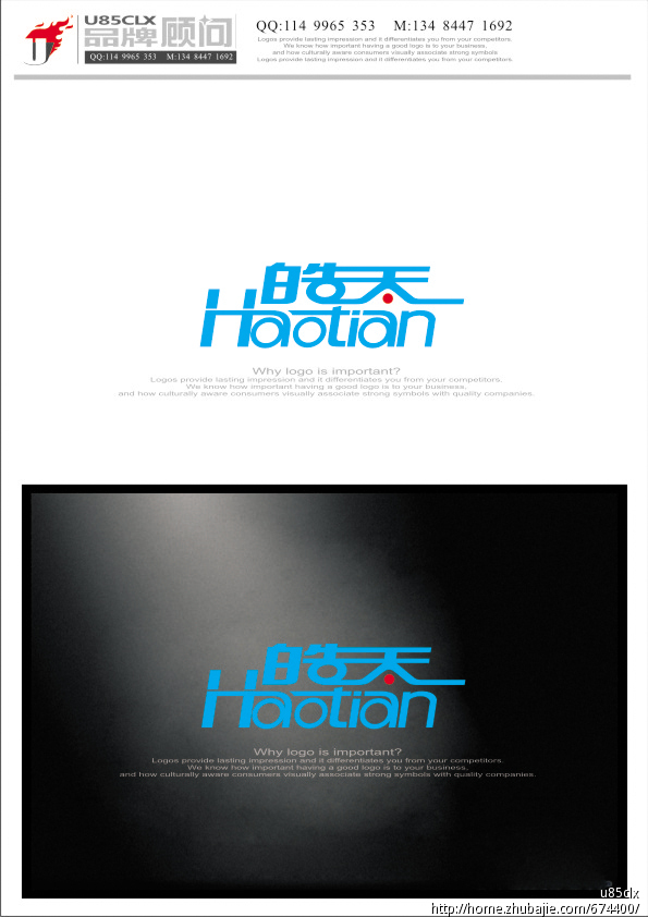 皓天logo设计_特急 新名人天梯工作室 投标-猪八戒网