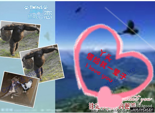 征集各地彩信图片<em>向女友</em>爱的<em>告白</em>!-猪八戒网