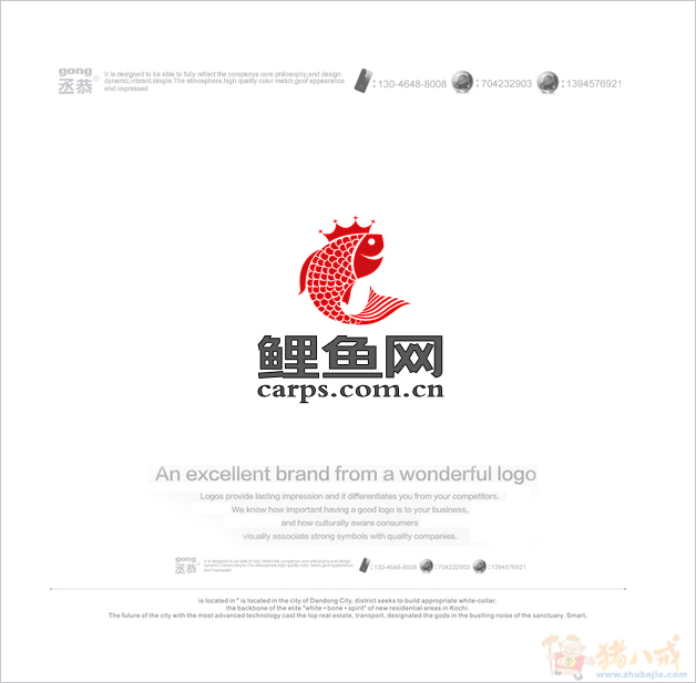 鲤鱼网网站logo设计 丞恭品牌策划设计 投标-猪八戒网