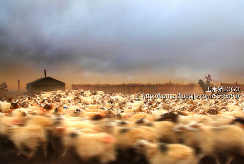 找图片海报1张1元,以此类推 - 海报设计 - 宣传品