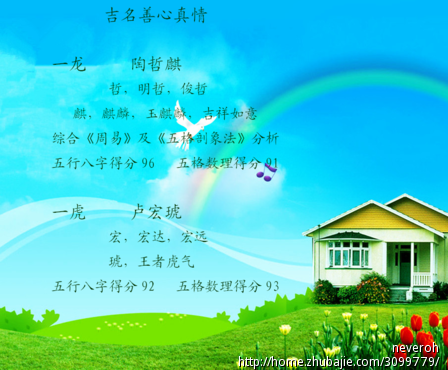 给双胞胎男孩取名图片