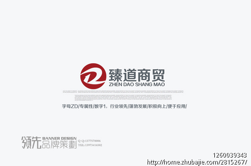 臻道商贸有限公司logo设计