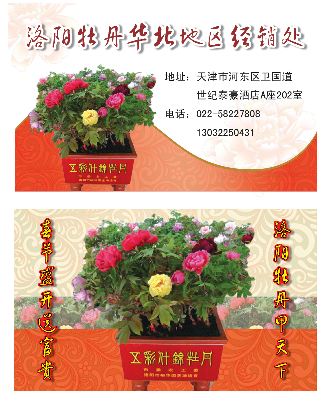 牡丹名片.jpg