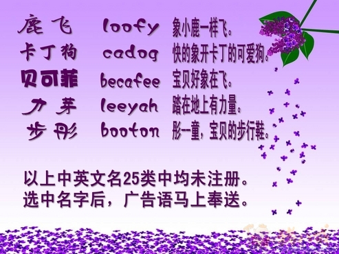 含中英文广告词